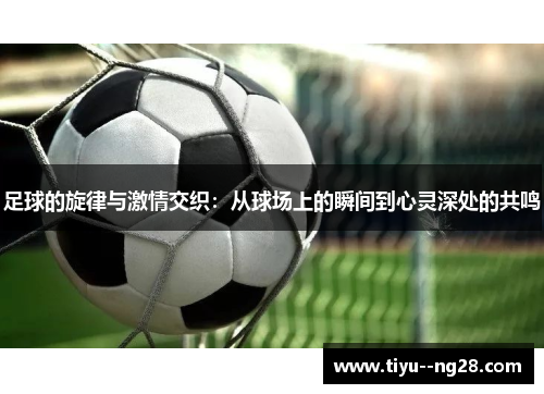 足球的旋律与激情交织：从球场上的瞬间到心灵深处的共鸣