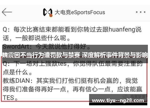 魏震因不当行为遭罚款与禁赛 深度解析事件背景与影响